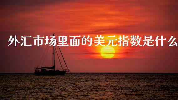 外汇市场里面的美元指数是什么_https://m.lcpcjs.com_期货交易时间_第1张