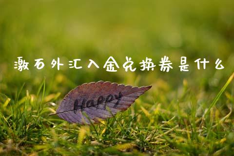 激石外汇入金兑换券是什么_https://m.lcpcjs.com_恒指期货保证金_第1张