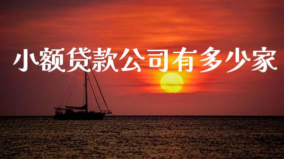 小额贷款公司有多少家_https://m.lcpcjs.com_恒指期货保证金_第1张