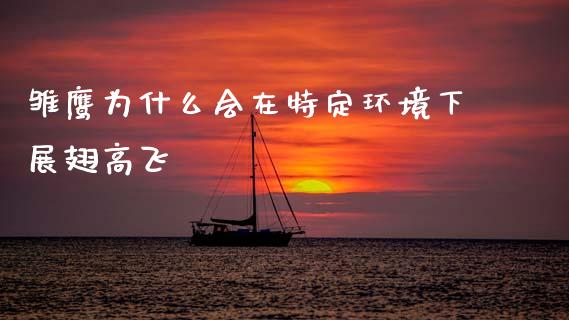 雏鹰为什么会在特定环境下展翅高飞_https://m.lcpcjs.com_白银期货保证金_第1张