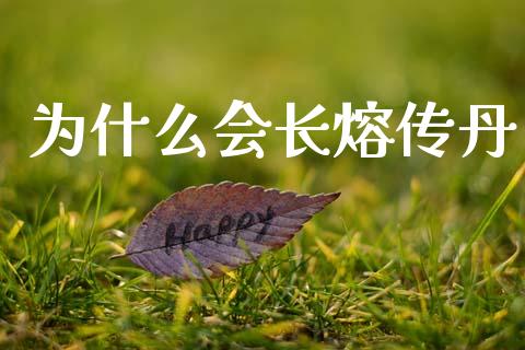 为什么会长熔传丹_https://m.lcpcjs.com_期货交易_第1张