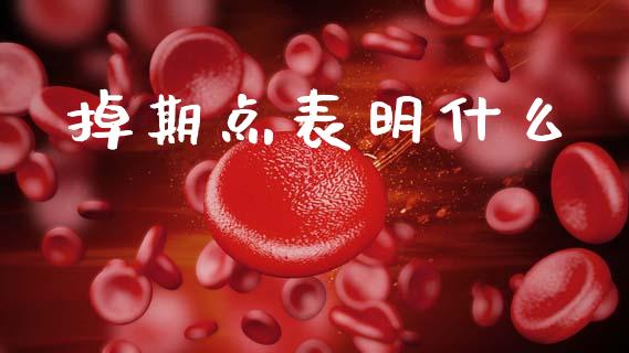 掉期点表明什么_https://m.lcpcjs.com_恒指期货保证金_第1张