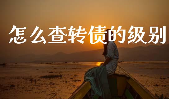 怎么查转债的级别_https://m.lcpcjs.com_白银期货保证金_第1张
