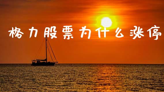 格力股票为什么涨停_https://m.lcpcjs.com_期货交易_第1张