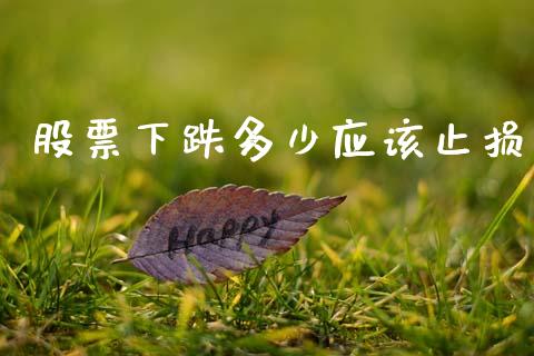 股票下跌多少应该止损_https://m.lcpcjs.com_期货交易_第1张