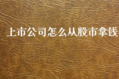 上市公司怎么从股市拿钱_https://m.lcpcjs.com_期货交易_第1张