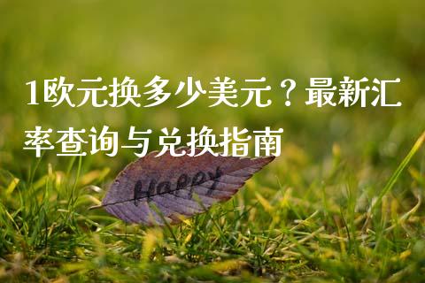 1欧元换多少美元？最新汇率查询与兑换指南_https://m.lcpcjs.com_白银期货保证金_第1张