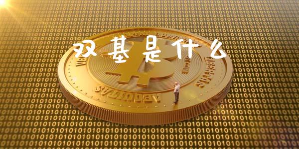 双基是什么_https://m.lcpcjs.com_恒指期货保证金_第1张