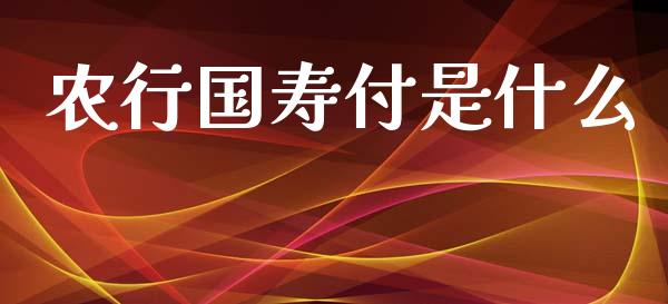 农行国寿付是什么_https://m.lcpcjs.com_期货交易时间_第1张
