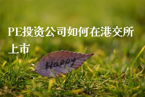 PE投资公司如何在港交所上市_https://m.lcpcjs.com_期货交易_第1张