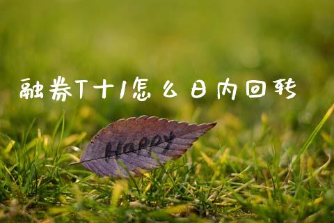 融券T十1怎么日内回转_https://m.lcpcjs.com_恒指期货保证金_第1张
