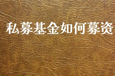 私募基金如何募资_https://m.lcpcjs.com_期货交易_第1张