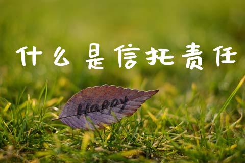 什么是信托责任_https://m.lcpcjs.com_期货交易_第1张
