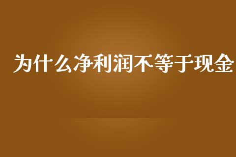 为什么净利润不等于现金_https://m.lcpcjs.com_恒指期货保证金_第1张