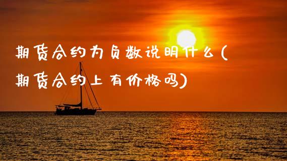 期货合约为负数说明什么(期货合约上有价格吗)_https://m.lcpcjs.com_恒指期货保证金_第1张