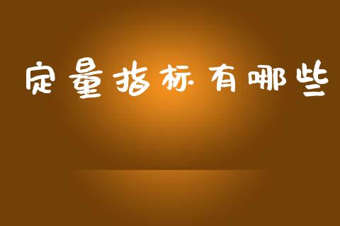 定量指标有哪些_https://m.lcpcjs.com_白银期货保证金_第1张