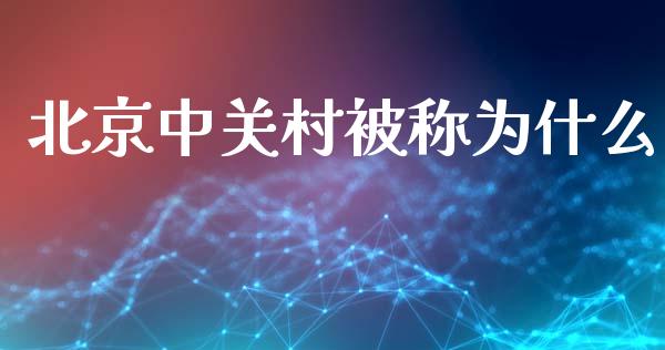 北京中关村被称为什么_https://m.lcpcjs.com_期货交易_第1张