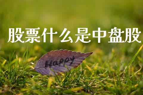 股票什么是中盘股_https://m.lcpcjs.com_恒指期货保证金_第1张