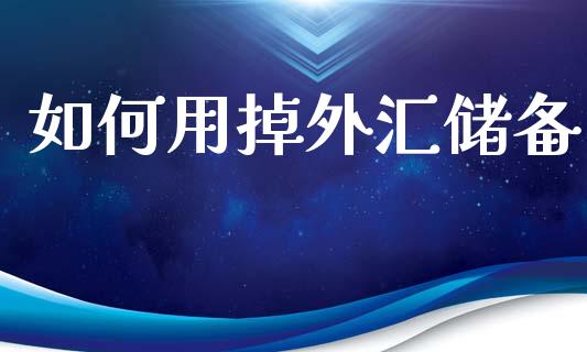 如何用掉外汇储备_https://m.lcpcjs.com_期货交易时间_第1张