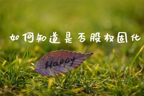如何知道是否股权固化_https://m.lcpcjs.com_白银期货保证金_第1张