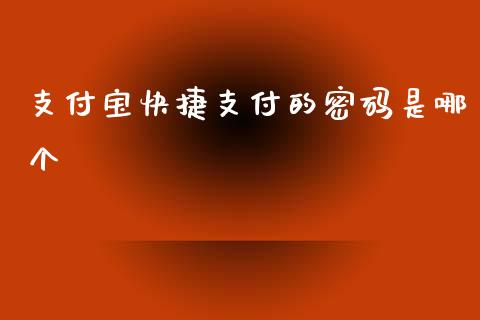 支付宝快捷支付的密码是哪个_https://m.lcpcjs.com_期货交易时间_第1张