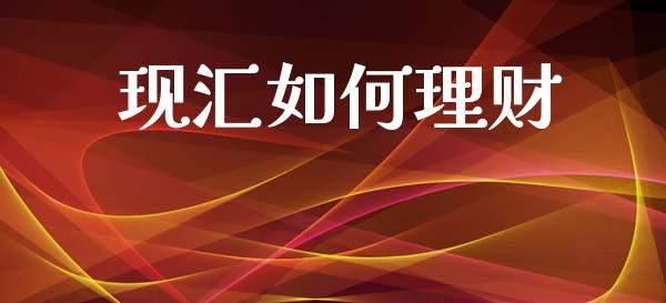 现汇如何理财_https://m.lcpcjs.com_期货交易时间_第1张