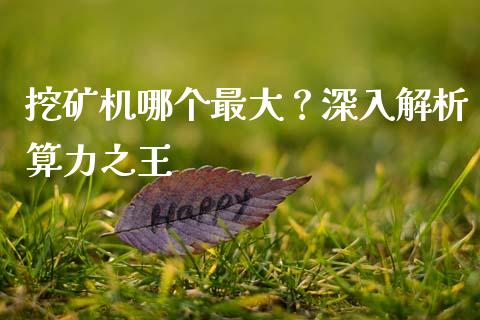 挖矿机哪个最大？深入解析算力之王_https://m.lcpcjs.com_期货交易_第1张