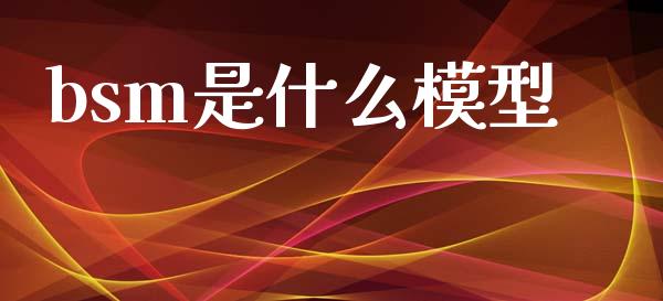 bsm是什么模型_https://m.lcpcjs.com_恒指期货保证金_第1张