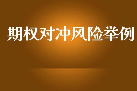 期权对冲风险举例_https://m.lcpcjs.com_白银期货保证金_第1张