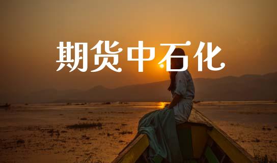 期货中石化_https://m.lcpcjs.com_期货交易时间_第1张
