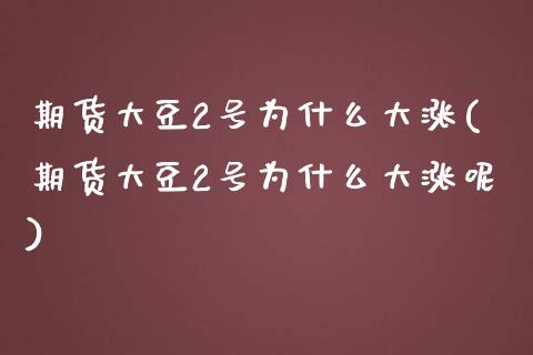 期货大豆2号为什么大涨(期货大豆2号为什么大涨呢)_https://m.lcpcjs.com_白银期货保证金_第1张
