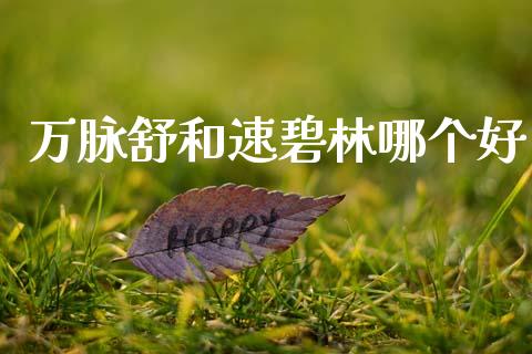 万脉舒和速碧林哪个好_https://m.lcpcjs.com_恒指期货保证金_第1张