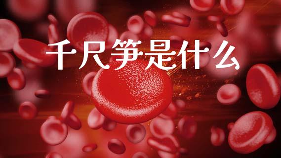 千尺笋是什么_https://m.lcpcjs.com_恒指期货保证金_第1张