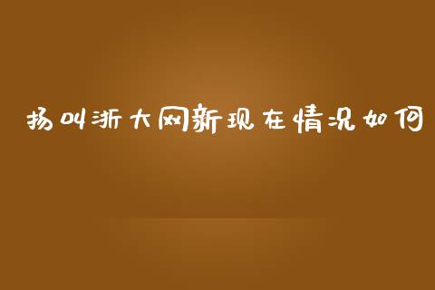 扬叫浙大网新现在情况如何_https://m.lcpcjs.com_白银期货保证金_第1张