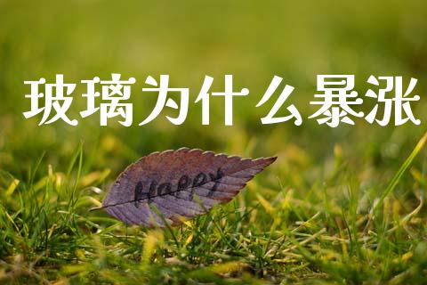 玻璃为什么暴涨_https://m.lcpcjs.com_白银期货保证金_第1张