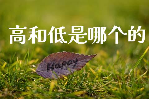 高和低是哪个的_https://m.lcpcjs.com_白银期货保证金_第1张