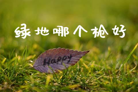 绿地哪个枪好_https://m.lcpcjs.com_白银期货保证金_第1张