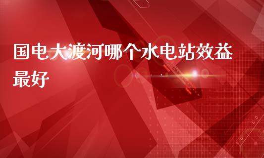 国电大渡河哪个水电站效益最好_https://m.lcpcjs.com_期货交易_第1张