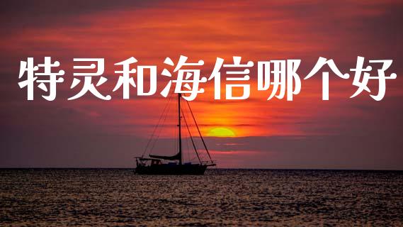 特灵和海信哪个好_https://m.lcpcjs.com_白银期货保证金_第1张