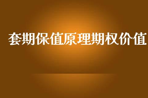 套期保值原理期权价值_https://m.lcpcjs.com_恒指期货保证金_第1张