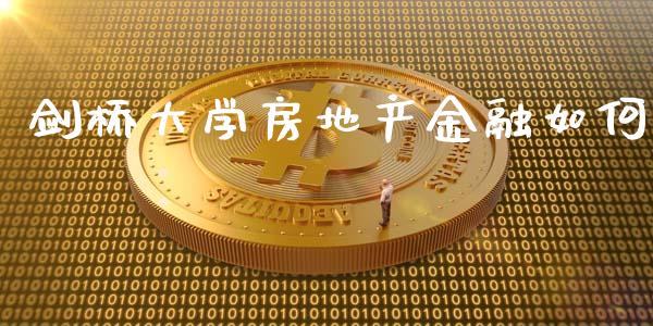 剑桥大学房地产金融如何_https://m.lcpcjs.com_恒指期货保证金_第1张