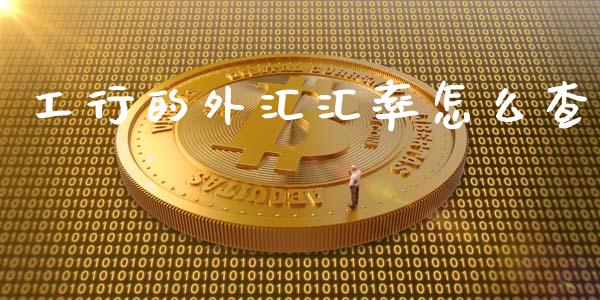 工行的外汇汇率怎么查_https://m.lcpcjs.com_期货交易时间_第1张