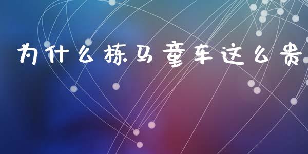为什么栋马童车这么贵_https://m.lcpcjs.com_白银期货保证金_第1张
