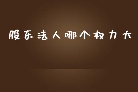 股东法人哪个权力大_https://m.lcpcjs.com_期货交易_第1张