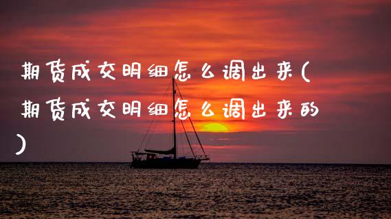 期货成交明细怎么调出来(期货成交明细怎么调出来的)_https://m.lcpcjs.com_期货交易时间_第1张