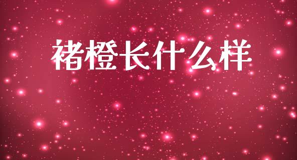 褚橙长什么样_https://m.lcpcjs.com_恒指期货保证金_第1张