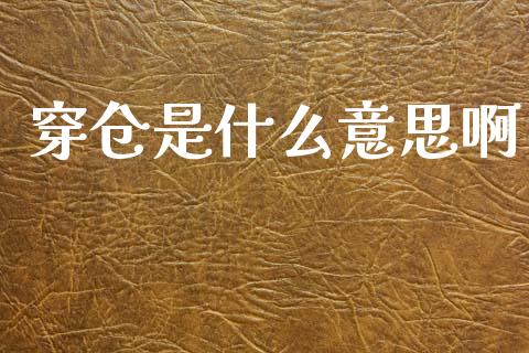 穿仓是什么意思啊_https://m.lcpcjs.com_期货交易时间_第1张