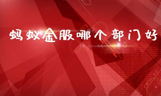 蚂蚁金服哪个部门好_https://m.lcpcjs.com_恒指期货保证金_第1张
