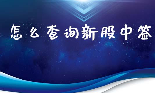 怎么查询新股中签_https://m.lcpcjs.com_恒指期货保证金_第1张