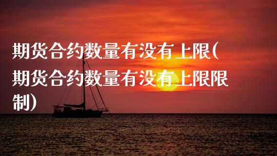 期货合约数量有没有上限(期货合约数量有没有上限限制)_https://m.lcpcjs.com_白银期货保证金_第1张
